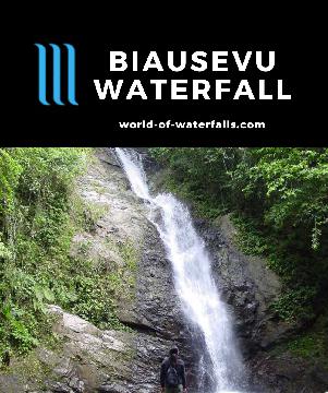 The Biausevu Waterfall (Savu Na Mate Laya Falls) is a pretty and accessible 20m waterfall near the Biausevu village in the Coral Coast of southern Viti Levu.