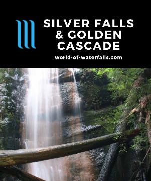Silver Falls and Golden Cascade are additional waterfals on West Berry Creek just upstream from the popular Berry Creek Falls in Big Basin Redwoods State Park.