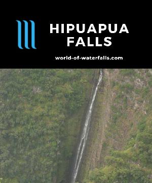 Hipuapua Falls is one of two major waterfalls at the head of Halawa Valley. It drops 500ft in a different drainage to Moaula Falls so it's difficult to access.
