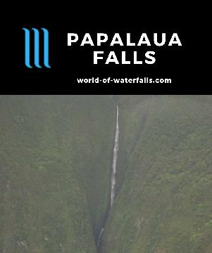 Papalaua Falls is a 1300ft waterfall on the rugged northern cliffs of Molokai. Most people see this waterfall on a helicopter tour of West Maui and Molokai.