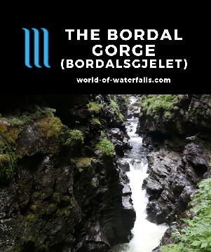 Bordalsgjelet (the 'Bordal Gorge') is a smaller version of the gorge walks that we saw in Germany and Austria, but this is free and accessed from Voss, Norway.