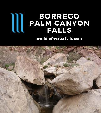 Borrego Palm Canyon Falls are a few bouldery waterfalls surrounded by native Peninsular California Fan Palms in Anza Borrego State Park's most popular trail.