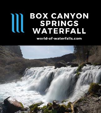 The Box Canyon Springs Waterfall was our reward for a short hike encompassing the 11th largest spring in North America as well as the canyon it carved out.