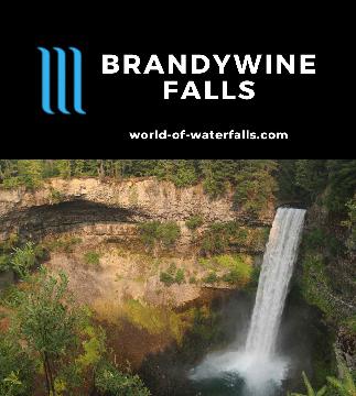 Brandywine Falls is a 70m plunge waterfall on Brandywine Creek easily seen from a lookout after a 1km return walk from the Sea-to-Sky Highway near Daisy Lake.