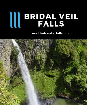 Bridal Veil Falls is a picturesque 55m free-leaping waterfall located near the surfing town of Raglan, New Zealand. A short track led us to its top and bottom.