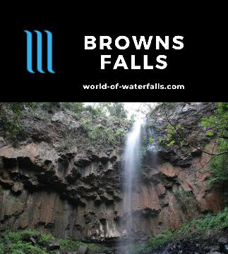 Browns Falls is 10-15m waterfall plunging over basalt columns reached by a 600m hike and stream scramble in the Southern Downs near Killarney, Queensland.