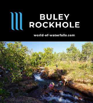 Buley Rockhole was a series of cascades with swimming holes, some of which you can do cliff jumps into. It's a fun alternative to the nearby Florence Falls.