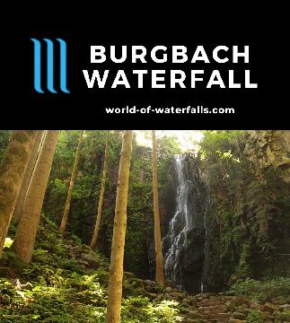 Burgbach Waterfall is a 32m falls that I experienced on a 1.8km walk in a tranquil forested setting near Bad Rippoldsau-Schapbach in Germany's Schwarzwald.