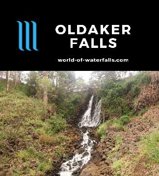 Oldaker Falls is an urban waterfall inside a city park within the coastal Northern Tasmanian city of Burnie. We accessed this falls on a short 250-300m path.