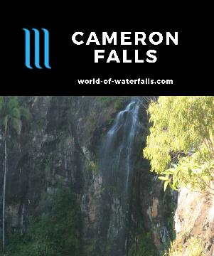 Cameron Falls is a light-flowing waterfall on Sandy Creek accessed by a 1.3km walking track with overlooks from Tamborine National Park's namesake plateau.
