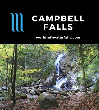 Campbell Falls was a very photogenic waterfall where I was glad I brought my tripod.  Since I made my visit on a cool crisp early morning, the low light made it practically necessary to have the...