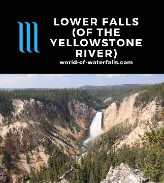 The Lower Falls is the signature waterfall in Yellowstone National Park dropping 308ft into the yellow sulphur-caked Grand Canyon of the Yellowstone River.