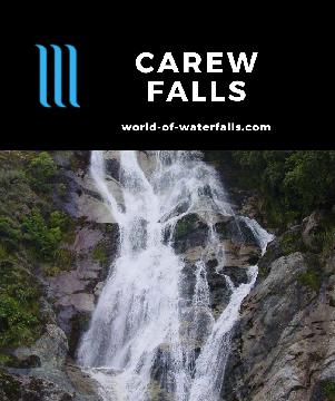 Carew Creek Falls (also just Carew Falls) is a 30m waterfall visible from Lake Brunner but accessed on a short hour-long return track towards its base.