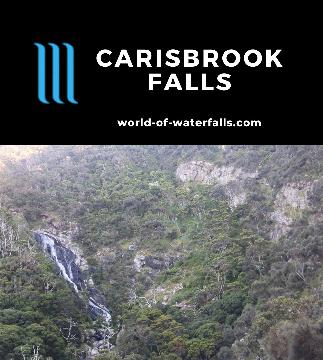 Carisbrook Falls is a 50m waterfall reachable on a short 600m return walk taking 30 minutes right by the Great Ocean Road between Apollo Bay and Kennett River.