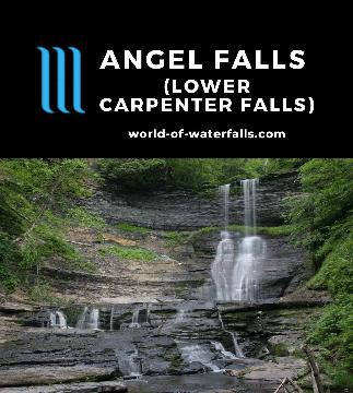 Lower Carpenter Falls (Angel Falls) cascades roughly a half-mile downstream from the (Upper) Carpenter Falls near Skaneateles Lake accessed by a steep scramble.