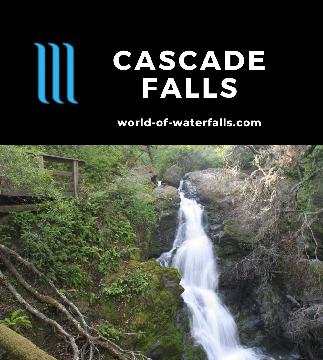 Cascade Falls is a 20ft waterfall with good flow on a two-mile round-trip hike in the suburban-fringed Elliott Nature Preserve in Fairfax in Marin County.