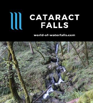 Cataract Falls is a set of 7-9 waterfalls on Cataract Creek starting near the Laurel Dell and eventually spilling into the man-made Alpine Lake in Marin County.