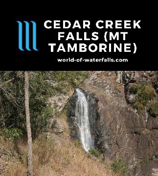Cedar Creek Falls is a 15-20m waterfall tumbling towards rock pools which can be a swim hole accessed by 500-900m walking track in Tamborine National Park.