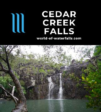 Cedar Creek Falls (or Cedar Falls) is a seasonal easy-to-visit waterfall by Conway Beach between Proserpine and the Whitsundays gateway town of Airlie Beach.