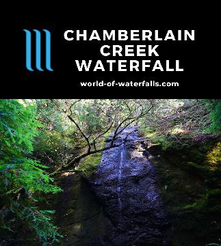 The Chamberlain Creek Waterfall is a secluded 50ft falls in the Jackson Demonstration State Forest between Willits and Fort Bragg near the Mendocino Coast.