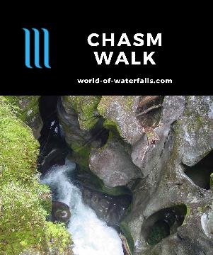 The Chasm was more of a nature walk than a waterfall experience in New Zealand, but it does feature a hidden one on the Cleddau River under a natural bridge.