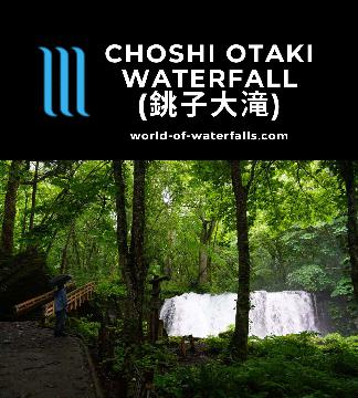 Choshi Otaki Waterfall (小坂七滝; Choshi Otaki Falls) was a 7m tall 20m wide gusher making it the largest waterfall on the main branch of the Oirase Stream.