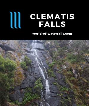 Clematis Falls is a 30m seasonal waterfall that I saw in different states in a 12-hour period on a 2.4km return walk from Halls Gap in Grampians National Park.