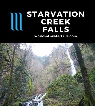 Starvation Creek Falls is 227ft waterfall reached by a gentle walk off the I-84 Freeway in the east end of the Columbia River Gorge near Hood River, Oregon.