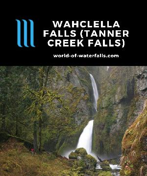 Wahclella Falls (Tanner Creek Falls) is a reported 350ft falls on Tanner Creek in the Columbia River Gorge reached by a 2-mile loop with a Munra Falls bonus.