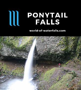 Ponytail Falls (Upper Horsetail Falls) is like a Horsetail Falls 'Mini Me' in Oregon's Columbia River Gorge, reached on a 0.4-mile trail going behind the falls.