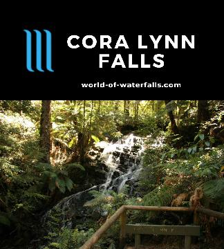 Cora Lynn Falls was kind of a throw-in waterfall during our visit to Marysville and the nearby Steavenson Falls sitting in the Yarra Ranges National Park.