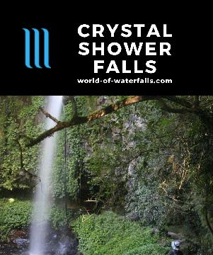 Crystal Shower Falls is a waterfall that we went behind. It's accessible on a lush 3.5km walk (or 5.8km Wonga Walk) in a rainforest in Dorrigo National Park.