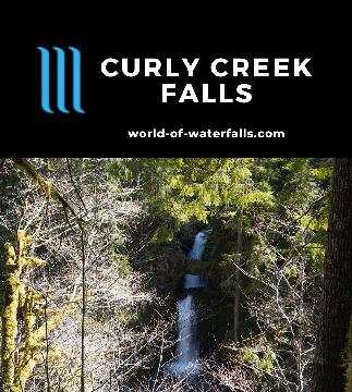 Curly Creek Falls is a seasonal waterfall near Mt St Helens plunging through some natural bridges, but it took us 3 tries before we finally saw it properly.