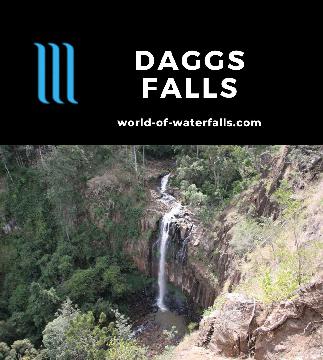 Daggs Falls is a 38m plunging waterfall on the Teviott Brook seen from a lookout right by the Spring Creek Road (Falls Drive) near the Killarney area.