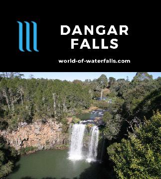 Dangar Falls is a classic 30m block waterfall on the Bielsdown River near the town of Dorrigo. We viewed it from a lookout and a short walk into its gorge.