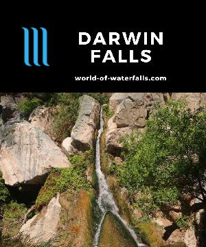 Darwin Falls is a 25-30ft waterfall near Panamint Springs in Death Valley National Park, accessed by a two-mile round-trip hike into a narrowing canyon.