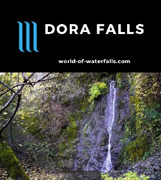 Dora Falls was a secluded 30ft waterfall situated very close to the US101 and a redwood grove. It had surprisingly good flow, and I even had the falls alone.