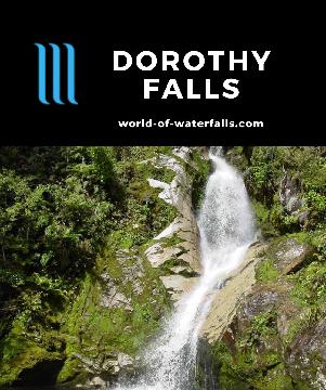 Dorothy Falls is an obscure waterfall said to be 64m tall in the LINZ-based topo maps, but we only saw the last 10-15m of it while driving by Lake Kaniere.