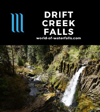 Drift Creek Falls was a popular 66ft waterfall on Horner Creek situated beneath a 240ft long suspension bridge spanning the gorge carved out by Drift Creek.