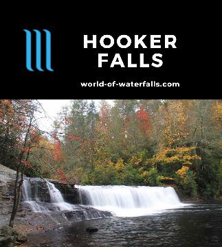 Hooker Falls is about 12ft tall and 75ft wide on the Little River experienced after an easy 1/4-mile walk in DuPont State Forest near Brevard, North Carolina.