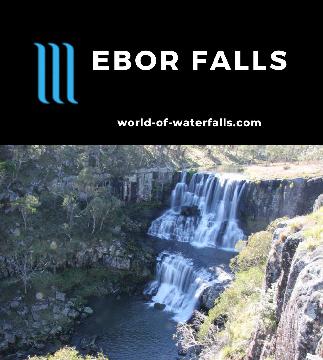 Ebor Falls consists of a pair of waterfalls with a cumulative height of 115m easily visited within the Guy Fawkes National Park between Armidale and Dorrigo.
