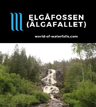 Elgafossen (Elgåfossen) is a 46m unregulated waterfall on the Elja, which marked parts of the international border between Østfold, Norway and Bohuslän, Sweden.