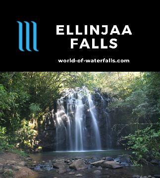 Ellinjaa Falls is one of the three waterfalls on the 17km Waterfall Circuit in the Atherton Tablelands. It's 10-15m and accessible via a 20-minute track.