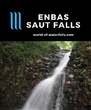 Enbas Saut Falls is a a 7-8m waterfall with a 3m upper waterfall deep in the Edmund Forest Reserve accessed by a 4km rainforest loop hike inland from Soufriere.