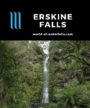 Erskine Falls is a popular 38m waterfall in the Angahook-Lorne State Park (part of the Great Otway National Park) behind the Falls Festival town of Lorne.