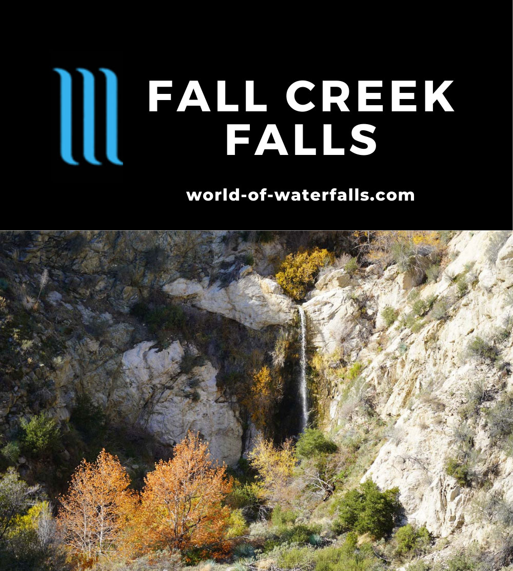Fall_Creek_Falls_175_01082022 - Fall Creek Falls