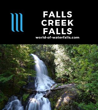 Falls Creek Falls is an easy-to-see 30ft waterfall on Falls Creek near the Ohanapecosh entrance to Mt Rainier National Park on the park's east quieter side.
