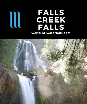 Falls Creek Falls is a 250ft waterfall on Falls Creek reachable by a 3.4-mile round-trip hike in the Gifford Pinchot National Forest in Southern Washington.