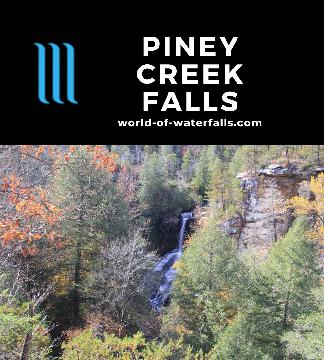 Piney Creek Falls (or Piney Falls) is a hidden 95ft waterfall tucked near the Gorge Scenic Drive Motor Nature Trail in Falls Creek Falls State Resort Park, TN.
