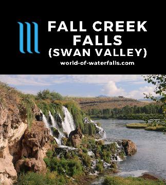 Fall Creek Falls is a scenically-located 60ft waterfall dropping right into the Snake River near Swan Valley in the southeast of Idaho east of Idaho Falls.